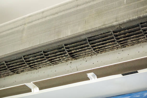 Best Home Air Vent Cleaning  in Perry, OH